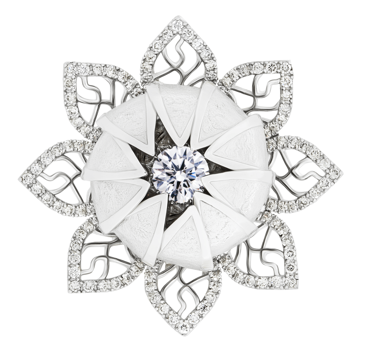 screenshot_1675502447