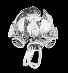 screenshot_1675502573